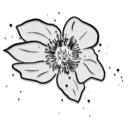 Boxen Pollen_100x100.png