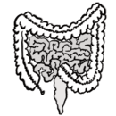 Magen-Darm_100x100.png
